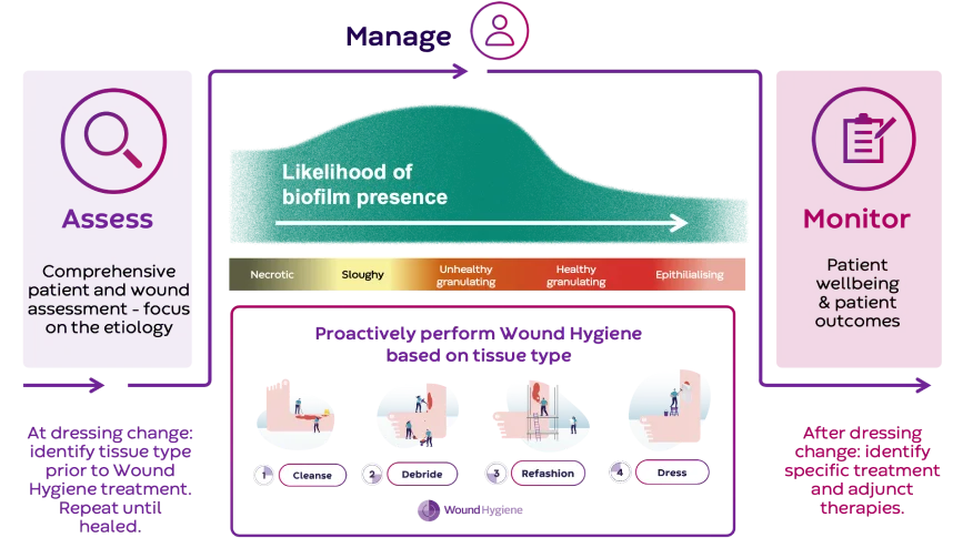 graphical user interface